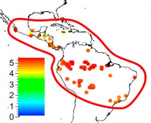 Map of the paper