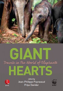 Giant Hearts cover page