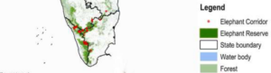 Deciphering elephant corridor reports