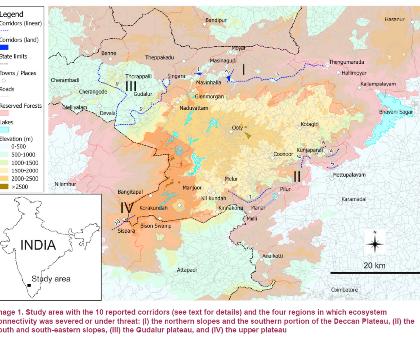Map representing elephant corridors of the Sigur Region according to Davidar (1981).